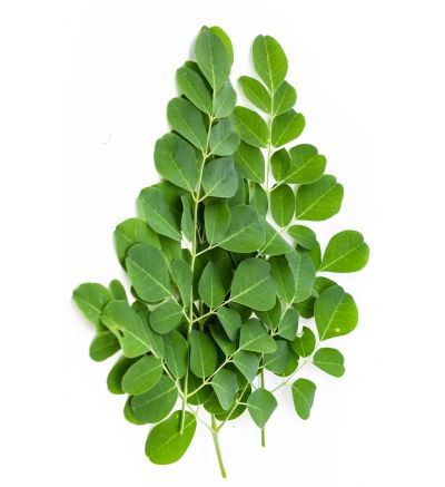 Moringa - 120 Capsules x 500mg