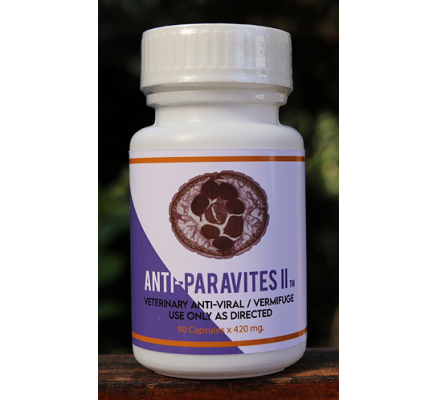 Anti-Paravites II (90 Capsules x 420 mg -- each capsule contains 25 mg. of ivermectin.)